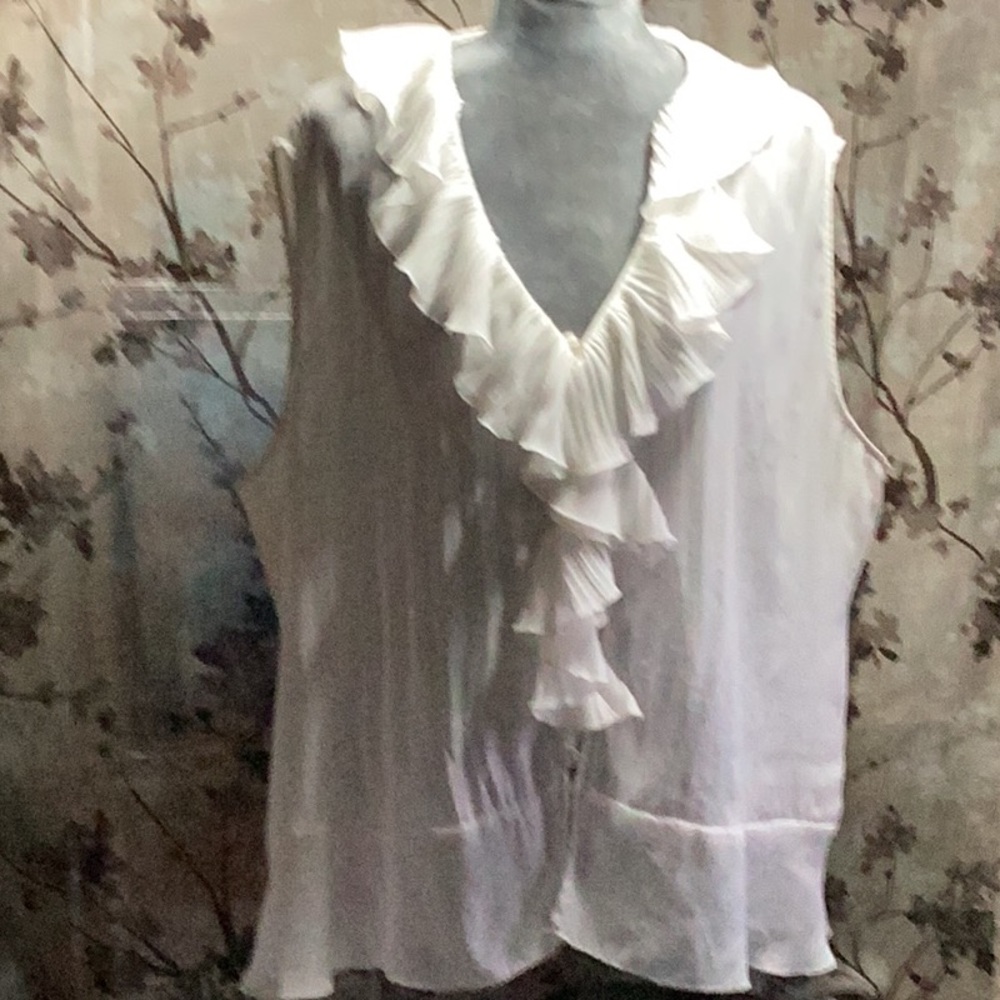 Ashley Stewart Sleeveless Sheer Blouse
